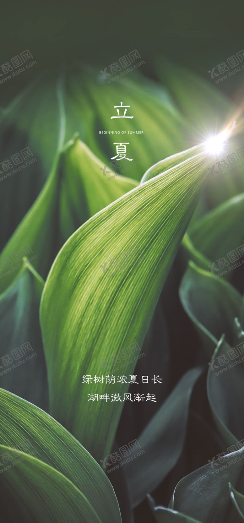 编号：48701509150044209468【酷图网】源文件下载-立夏节气海报