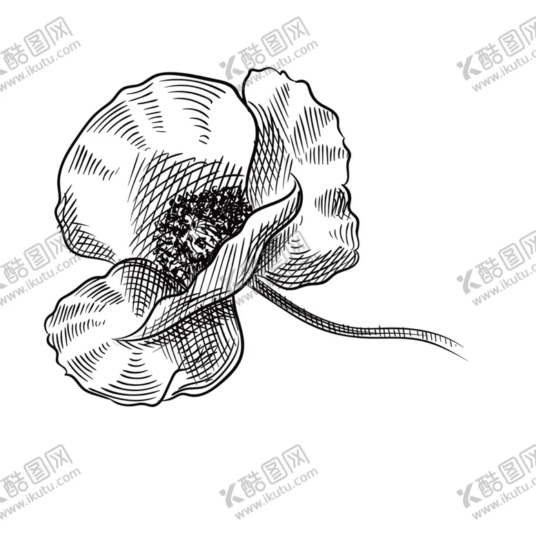 编号：49247906162134438252【酷图网】源文件下载-花素材