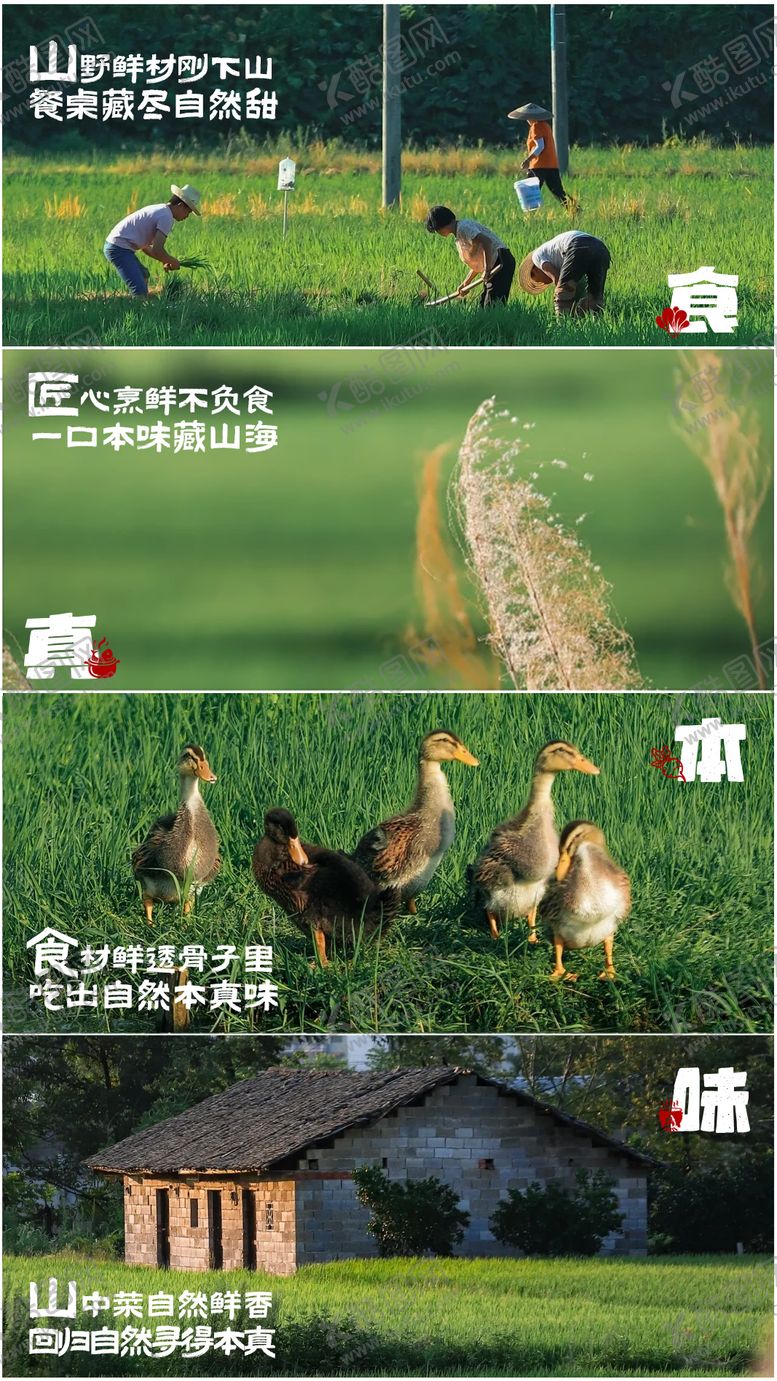 编号：41019512301439355648【酷图网】源文件下载-山野食材美食海报