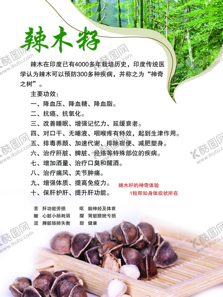 辣木籽养生保健特产