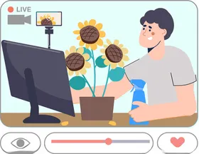 主播直播中展示向日葵盆栽