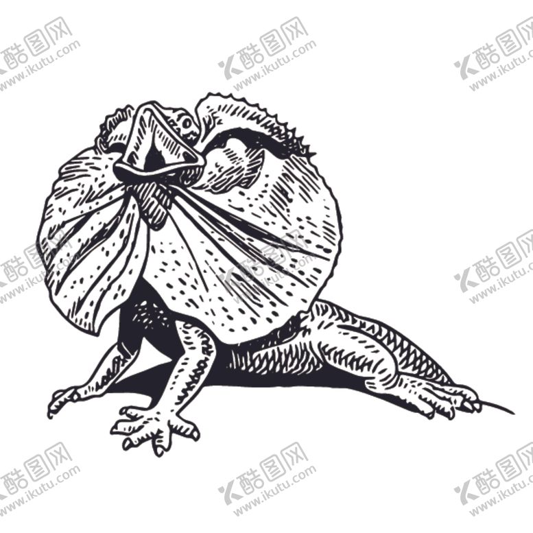 编号：33746809160559271517【酷图网】源文件下载-爬行动物线稿绘画图案