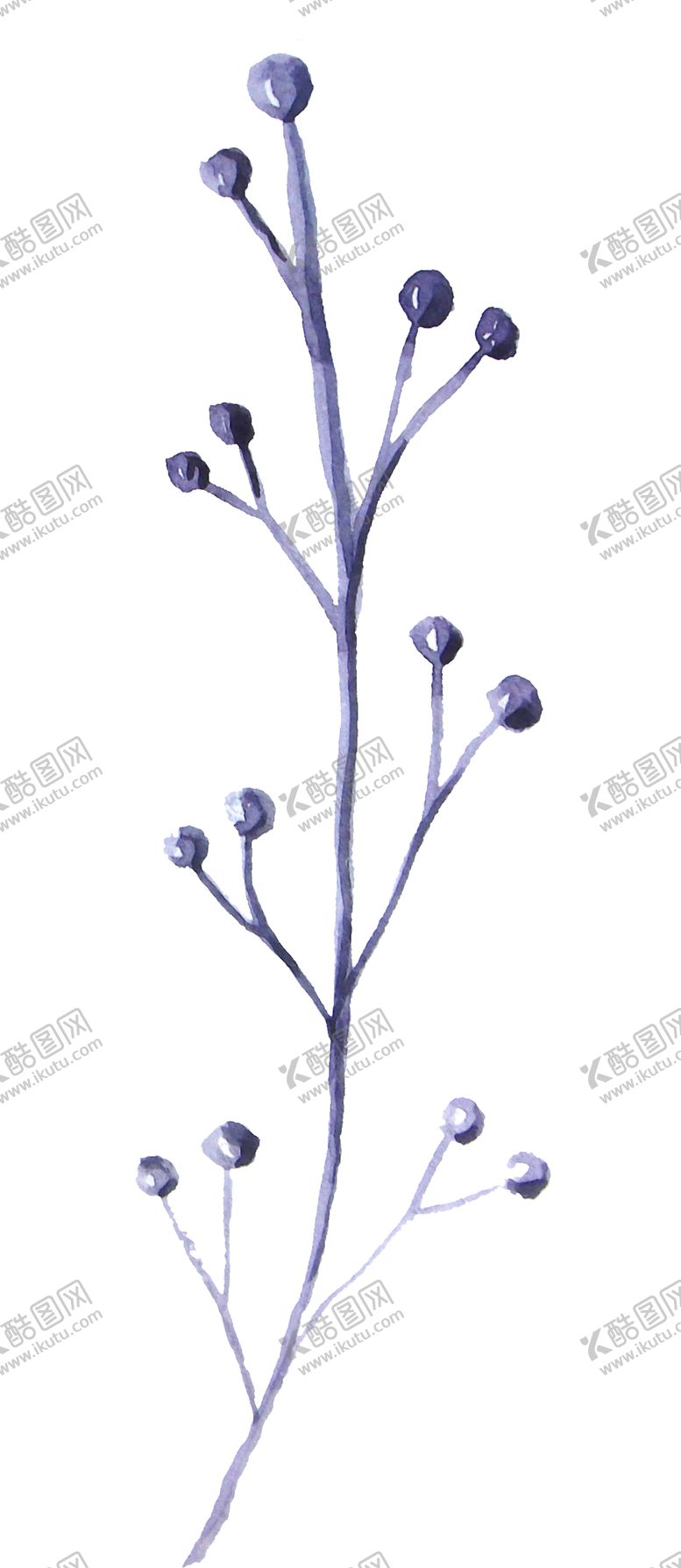 编号：25617206280723157026【酷图网】源文件下载-彩绘枝叶