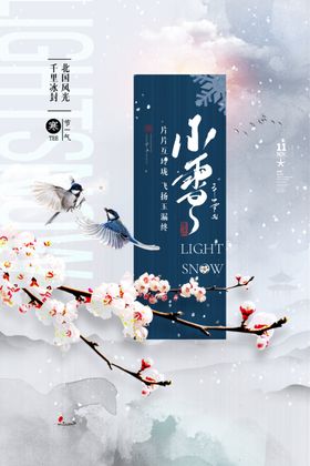 小雪海报