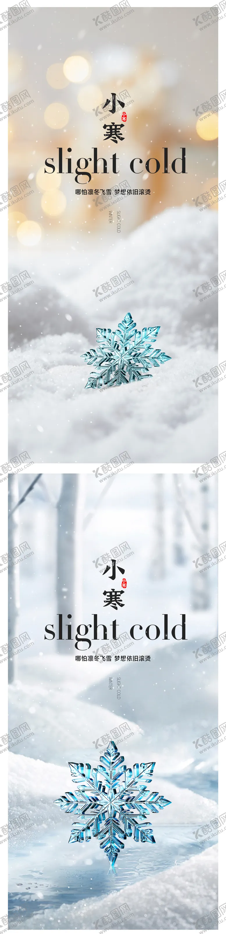 编号：84666511261007399877【酷图网】源文件下载-小寒节气系列海报