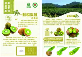 周至猕猴桃宣传单