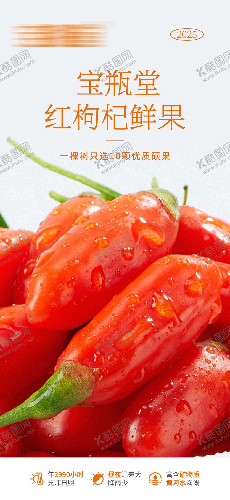 编号：75392609171253334501【酷图网】源文件下载-宁夏枸杞海报