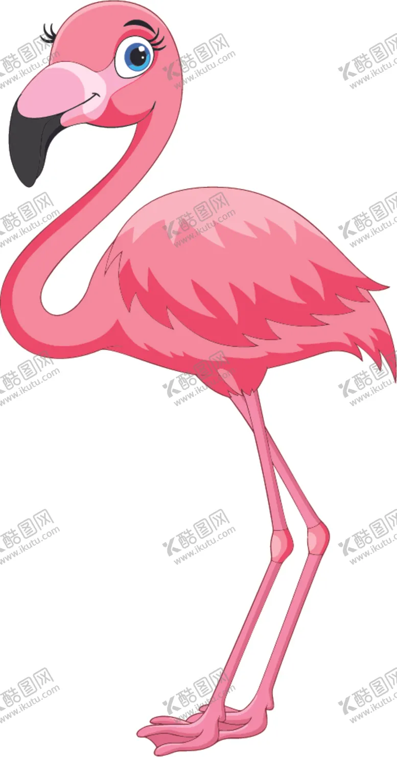 编号：27256812080455219415【酷图网】源文件下载-火烈鸟