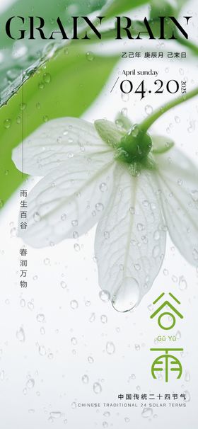 谷雨海报二十四节气花卉下