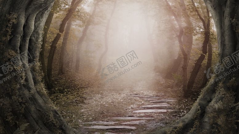 编号：86533106172042041909【酷图网】源文件下载-树林