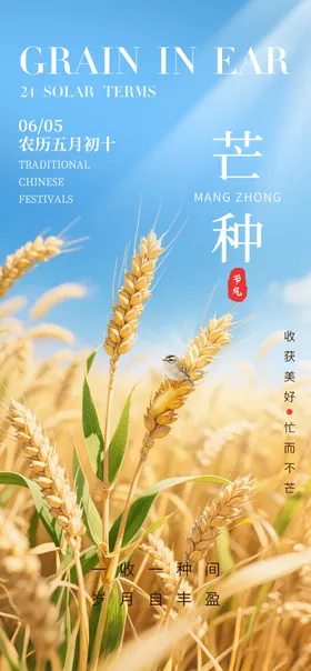 芒种