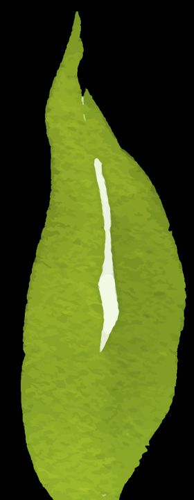 小清新水彩植物树枝