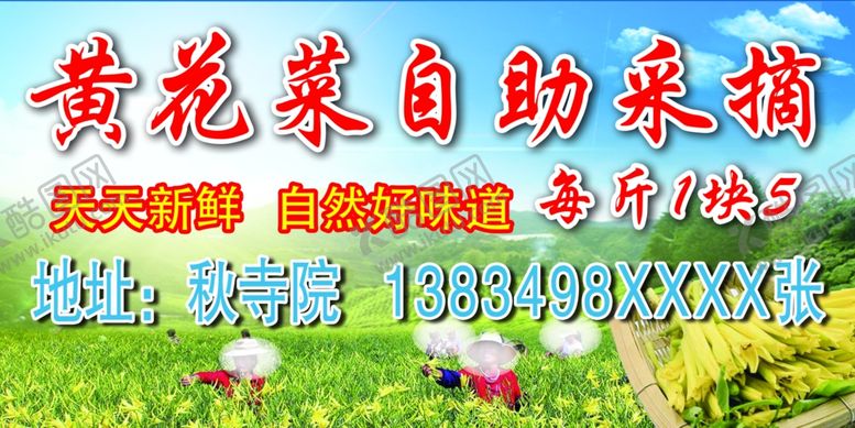 编号：11333807050438564279【酷图网】源文件下载-黄花菜
