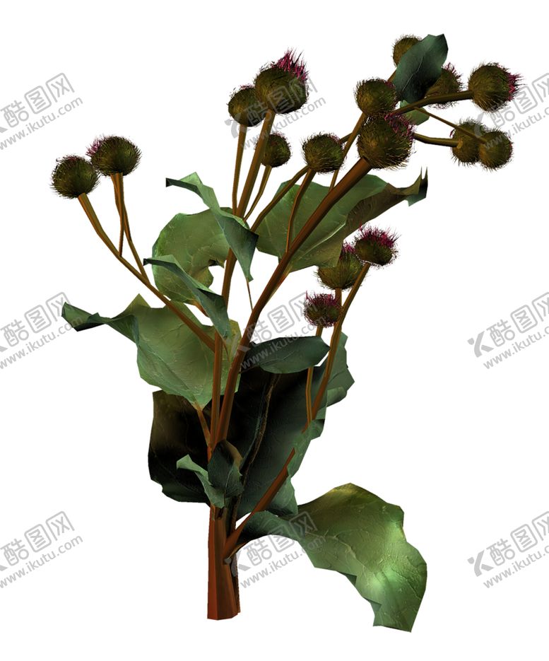 编号：45841310040641384333【酷图网】源文件下载-植物