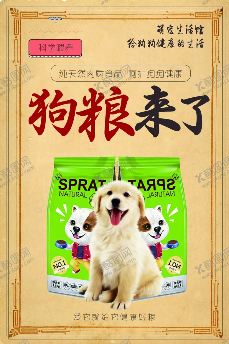 编号：80389109231607458081【酷图网】源文件下载-宠物海报