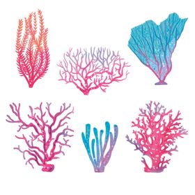 盆栽植物摆件