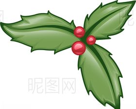 圣诞果
