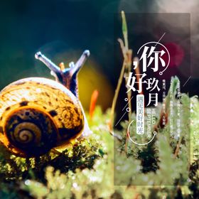 九月你好秋天节气黄花中国风