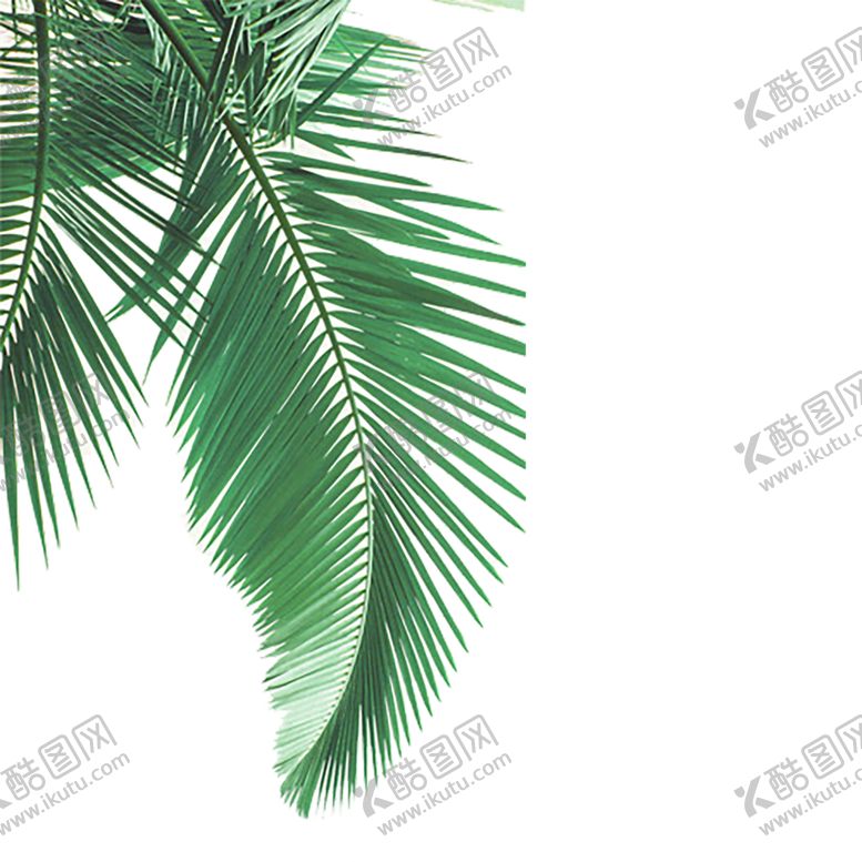 编号：80865209172345567040【酷图网】源文件下载-绿色装饰