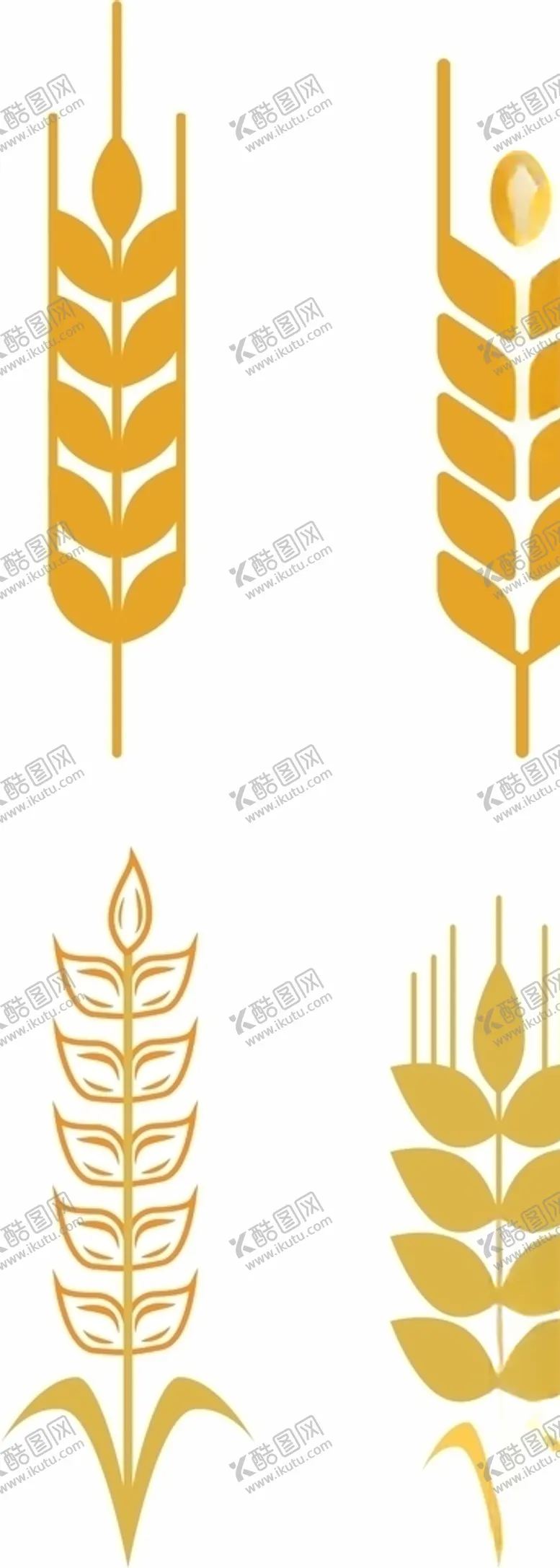 编号：66324304290629505261【酷图网】源文件下载-麦穗