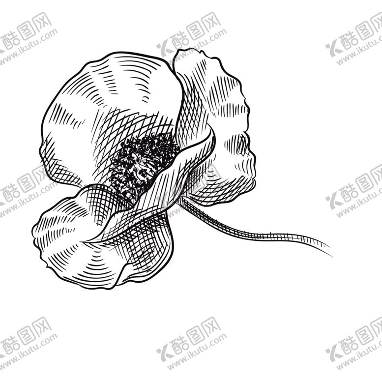 编号：29393907072005515620【酷图网】源文件下载-鲜花装饰