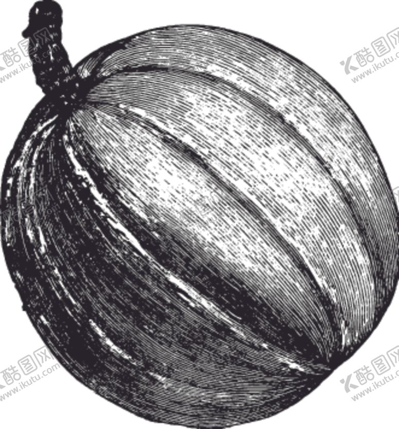 编号：93731809251016251138【酷图网】源文件下载-素描手绘蔬菜