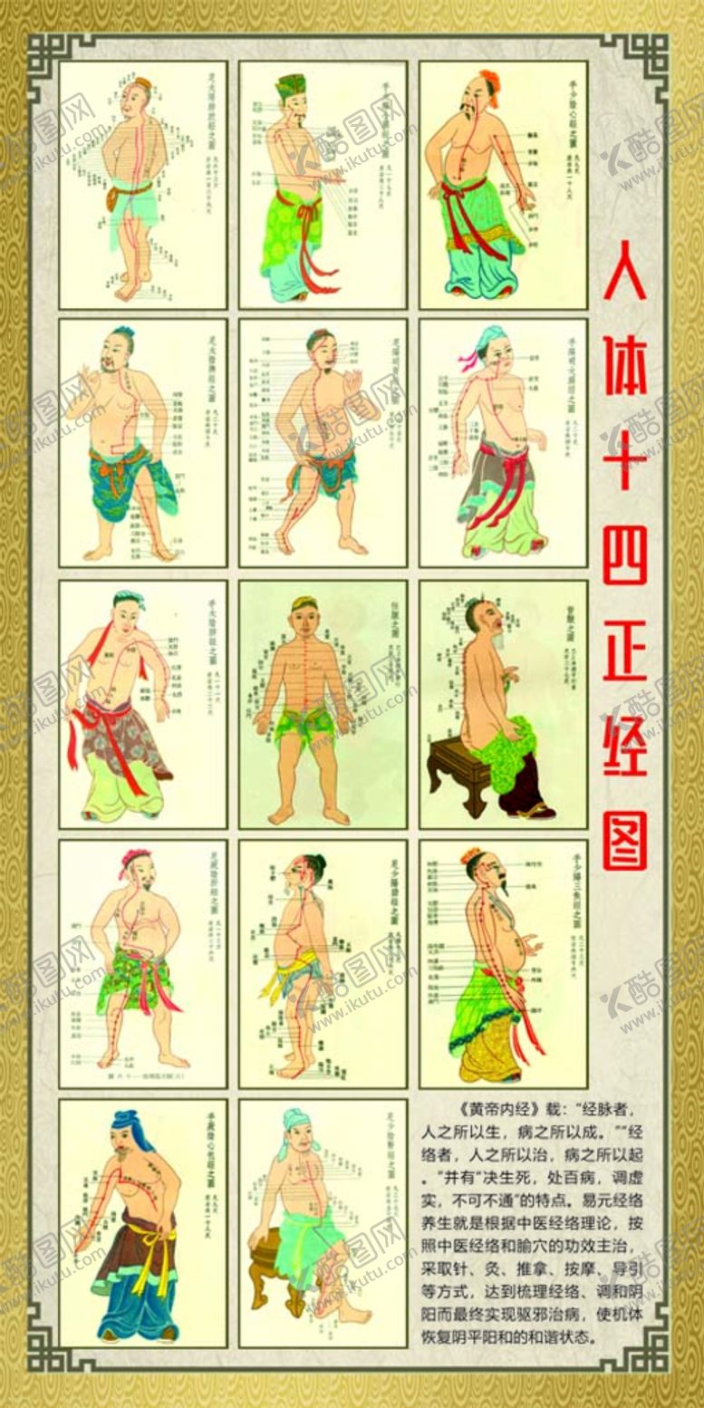 编号：34898610180601027989【酷图网】源文件下载-经络图