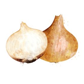 手绘彩色蔬菜免扣素材图片光盘有机宣传