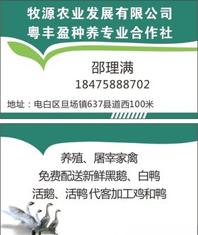 鸭鹅名片
