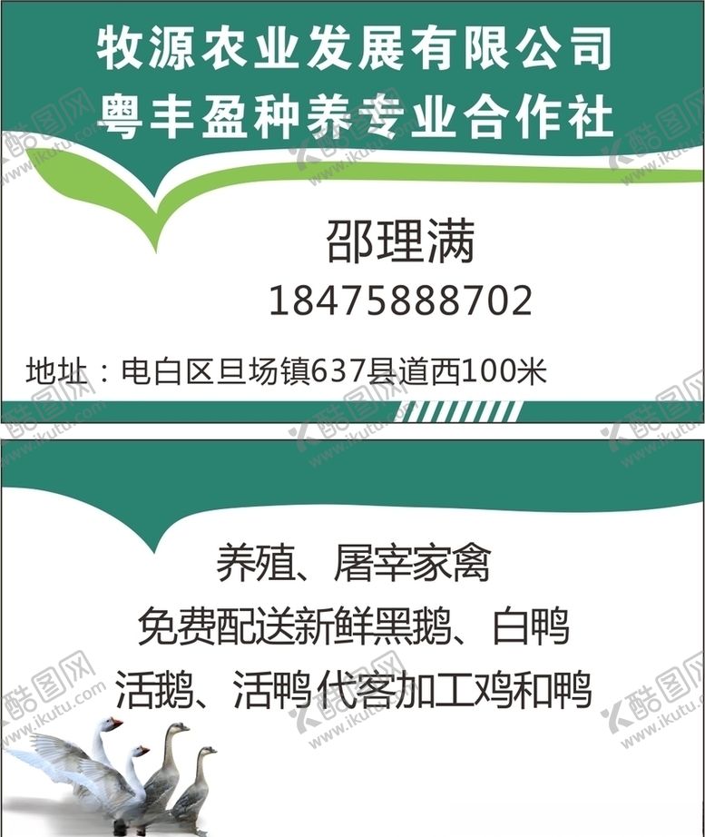 编号：61138810260257032251【酷图网】源文件下载-鸭鹅名片