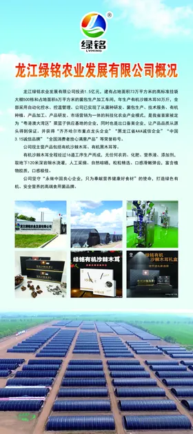 厦门晶铭公司LOGO标志