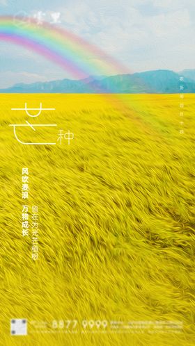 芒种节气刷屏
