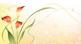 数码印花包装盒简单画