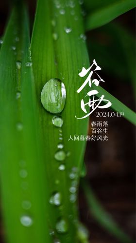 谷雨
