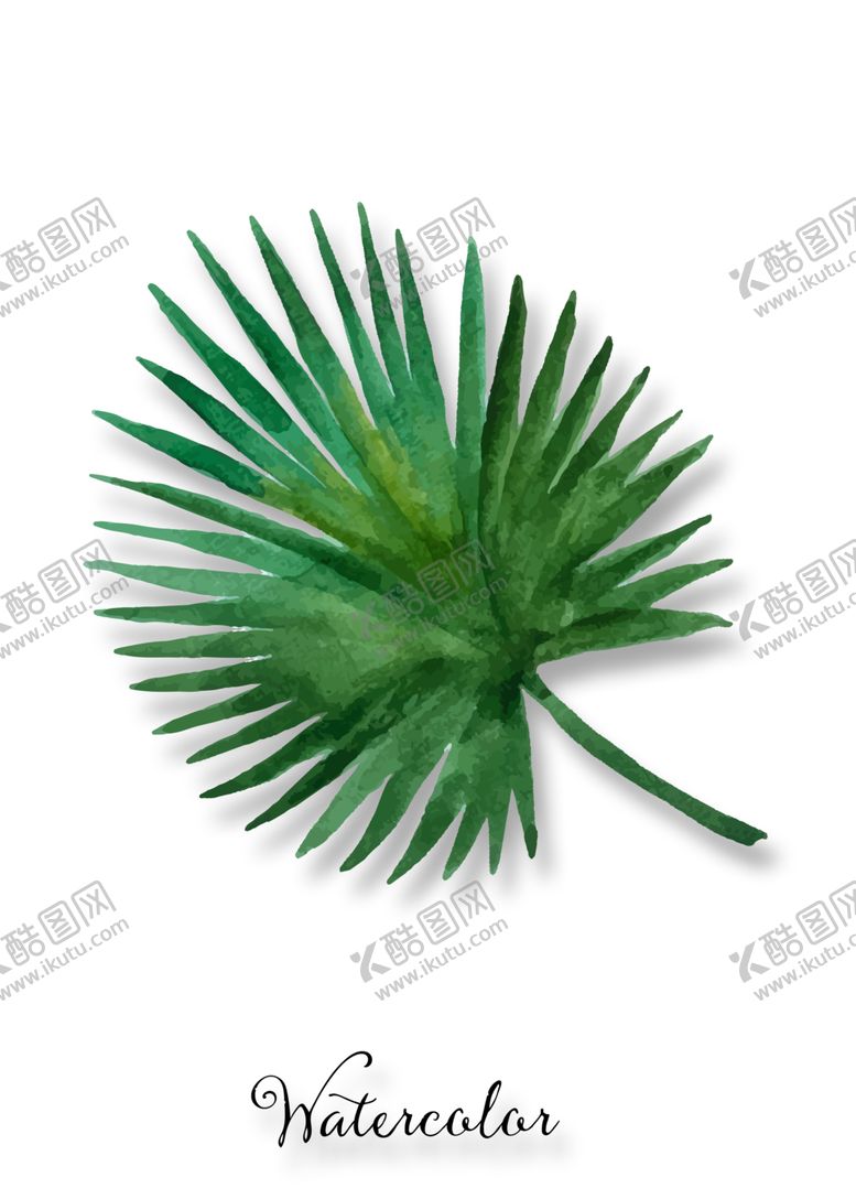 编号：98171107050142341772【酷图网】源文件下载-植物装饰画图片