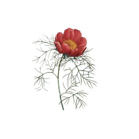 鲜花