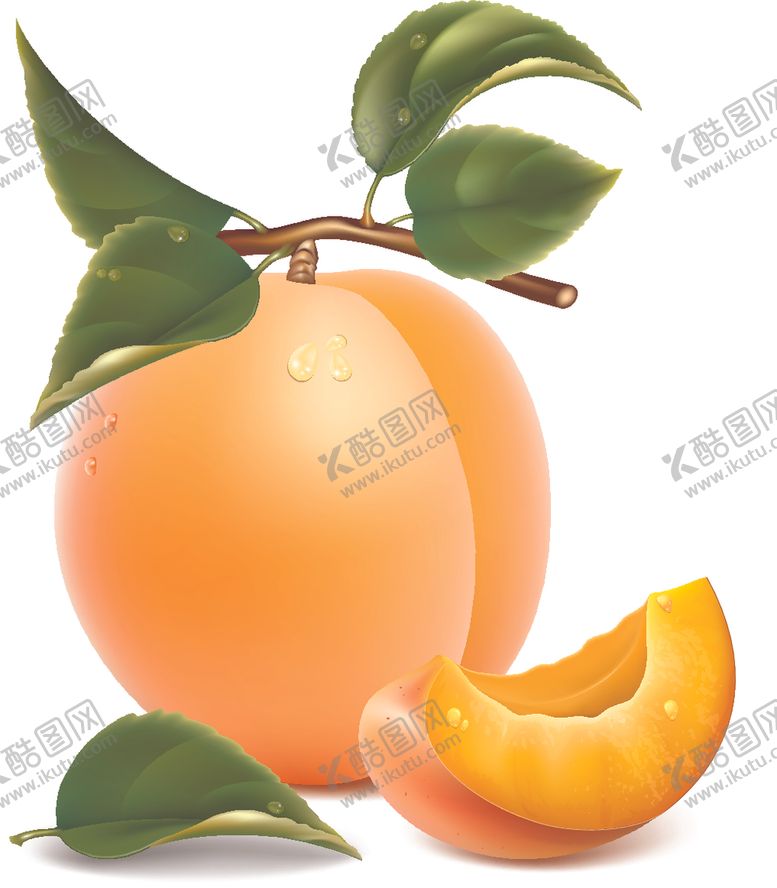编号：84293207020936227753【酷图网】源文件下载-一颗黄桃黄桃特写