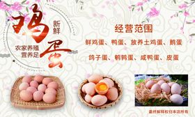 生鲜超市优惠券鸡蛋海产
