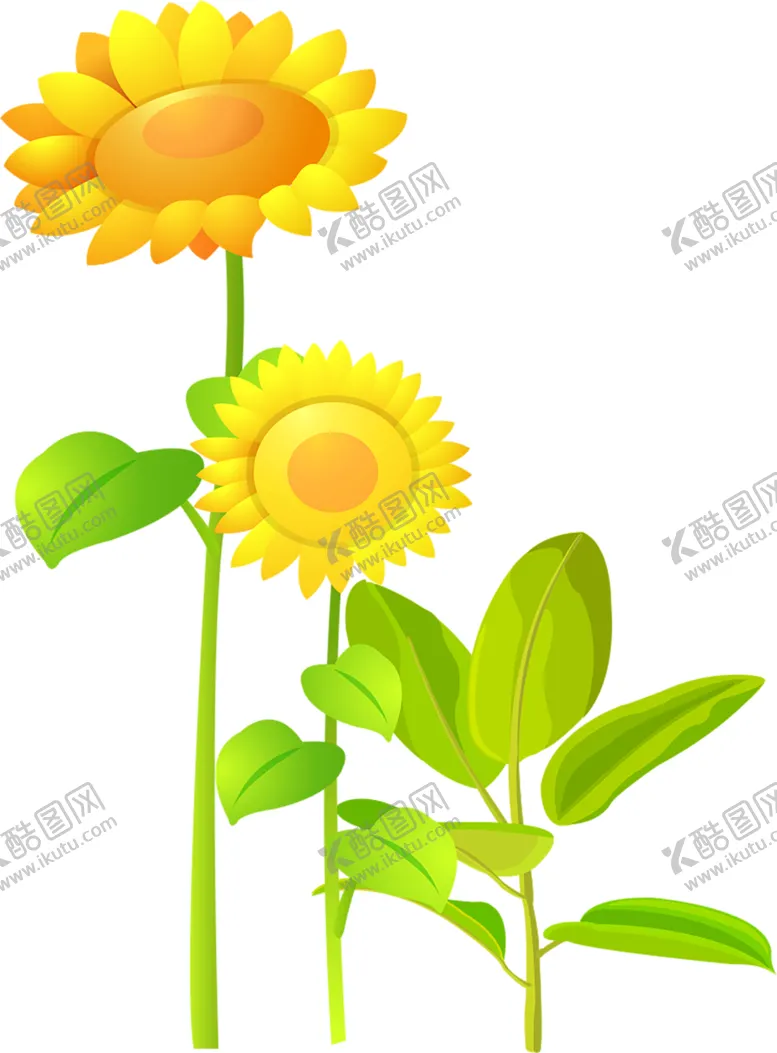 编号：60077106251301344422【酷图网】源文件下载-鲜花素材