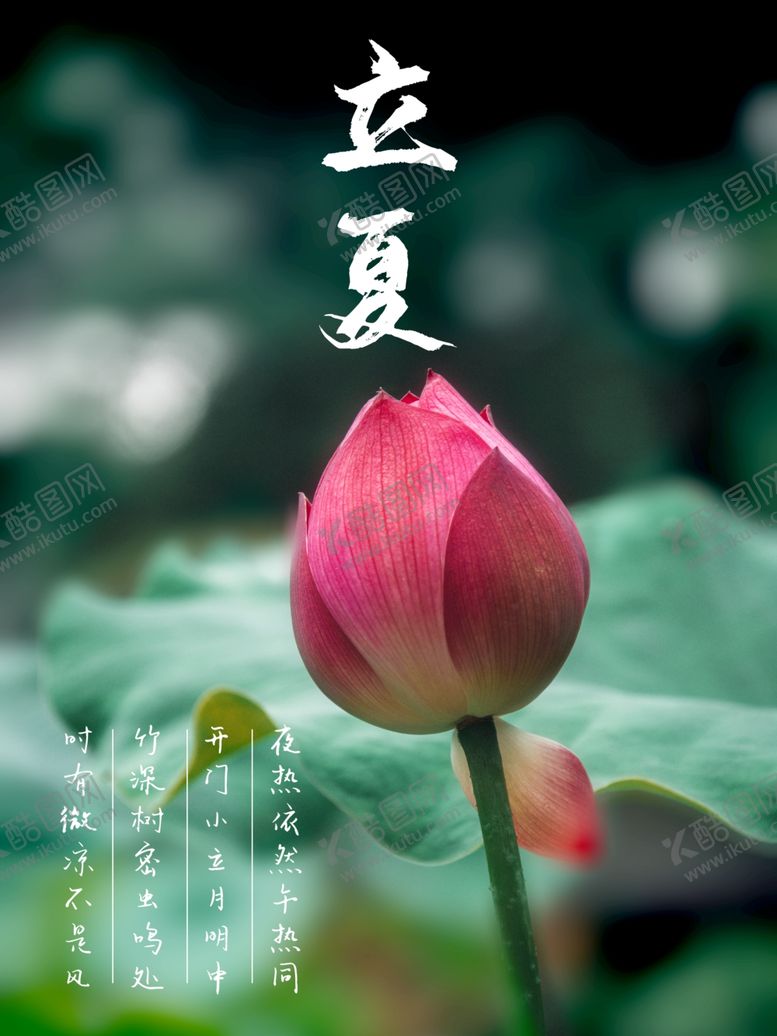 编号：26684705081459054708【酷图网】源文件下载-立夏二十四节气海报