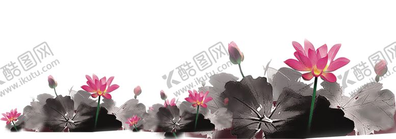 编号：80218905030354399929【酷图网】源文件下载-水墨荷花粉色荷花荷花意境