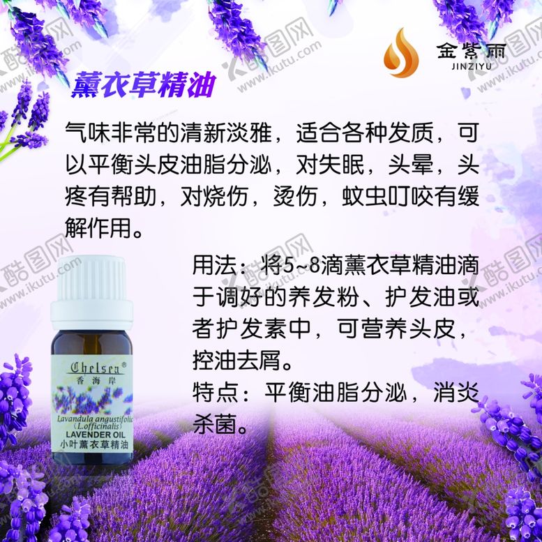 编号：68255109281421123882【酷图网】源文件下载-薰衣草精油