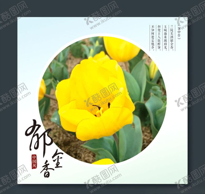 编号：98721709120849292025【酷图网】源文件下载-郁金香