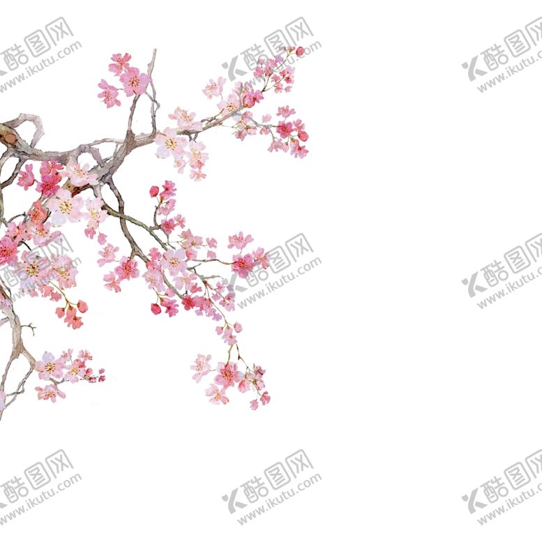 编号：14096207121922454699【酷图网】源文件下载-梅花
