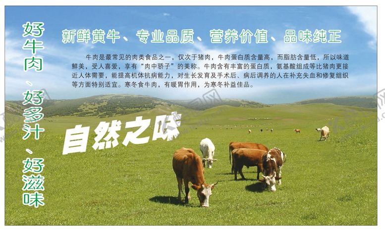 编号：79813912090841268550【酷图网】源文件下载-草原牛