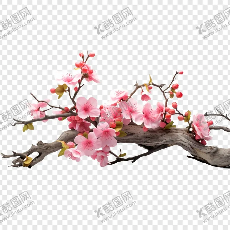 编号：17092602190024055964【酷图网】源文件下载-梅花