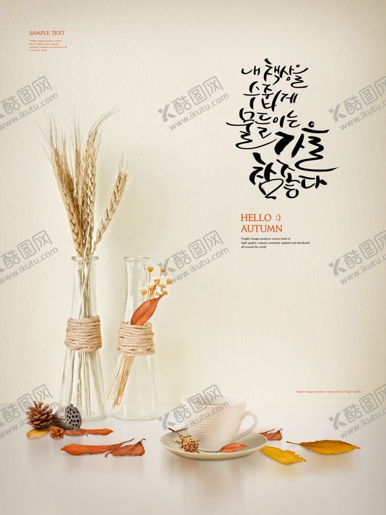 编号：95446610120711444583【酷图网】源文件下载-温馨唯美枫叶场景图片