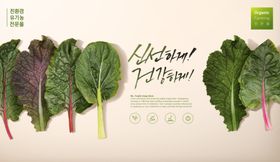 蔬菜水果标签贴矢量素材图片