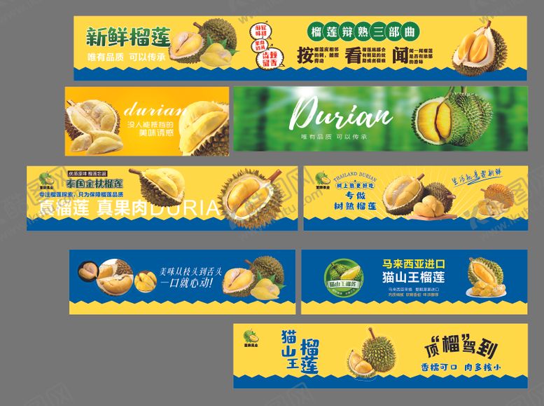 编号：38225310271615126696【酷图网】源文件下载-榴莲猫山王榴莲