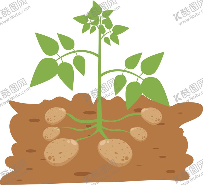 编号：41789609261231165116【酷图网】源文件下载-绿色植物